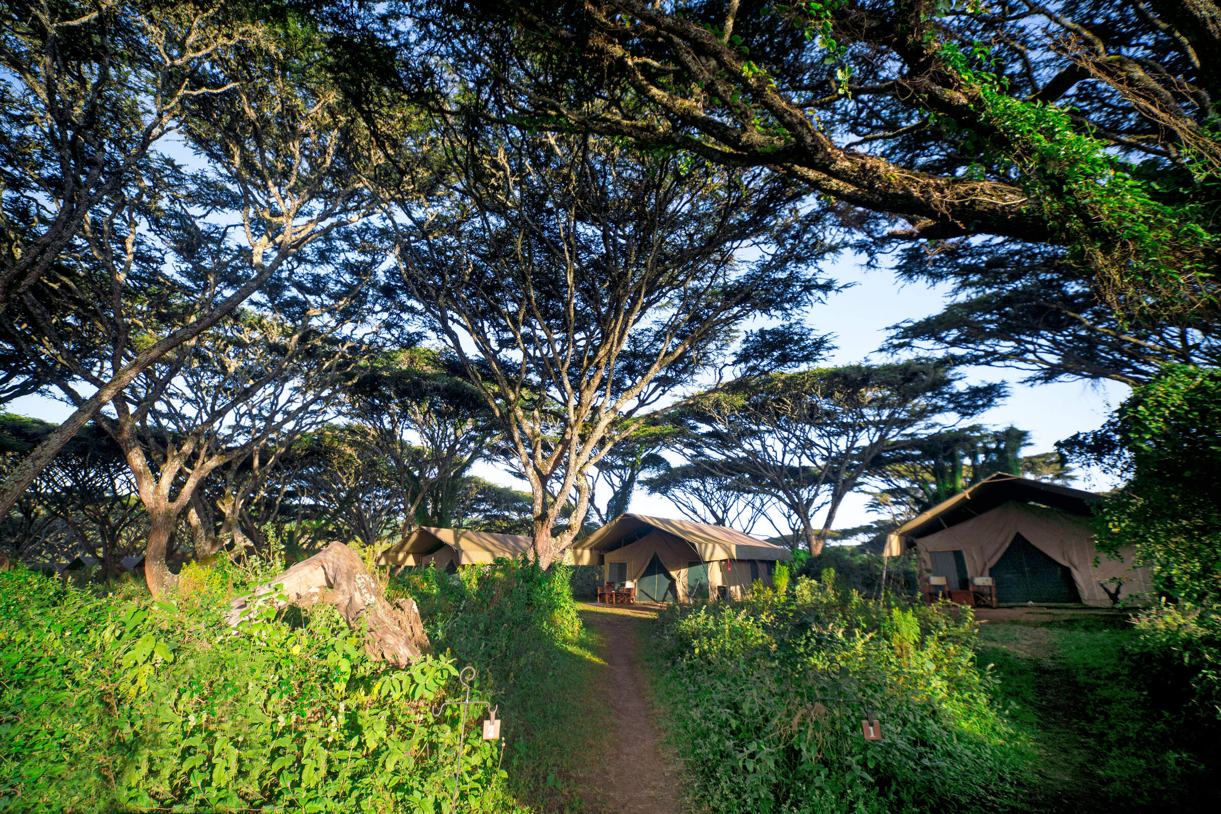 Lemala Ngorongoro