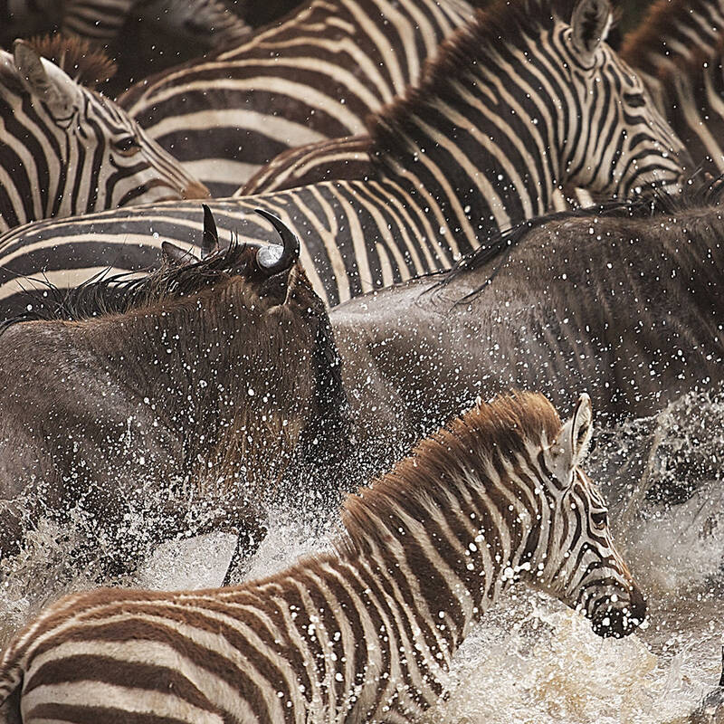 Kenya