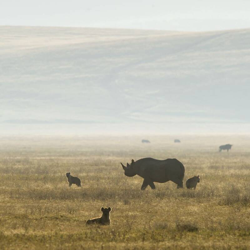 Tanzania