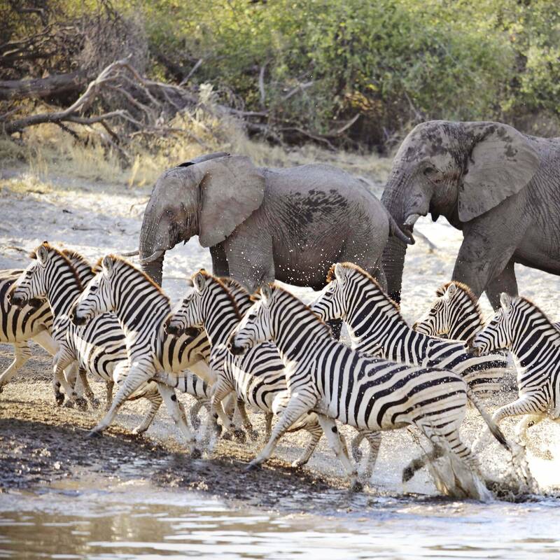 Migrations in Botswana