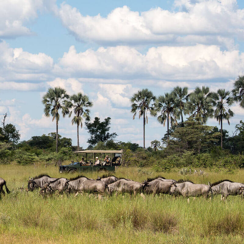 Migrations in Botswana