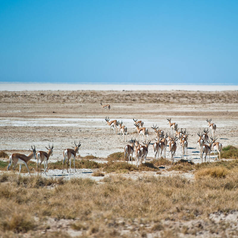 Lesbian, Gay, Bisexual and Transgender (LGBT) travel to Namibia