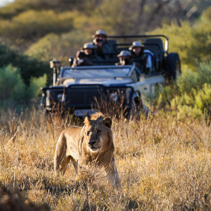 Types of Botswana safaris