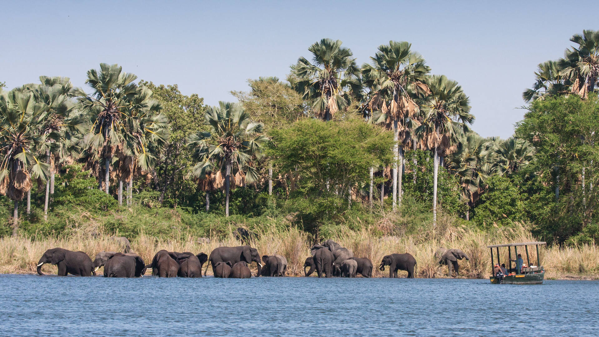 Malawi general information