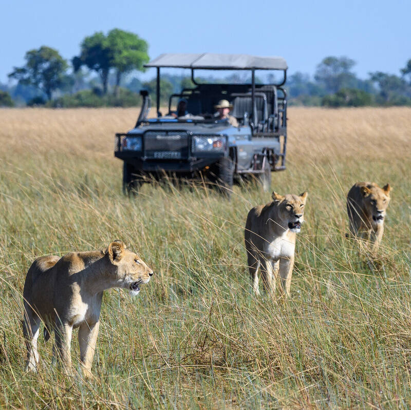 Okavango Delta Flood