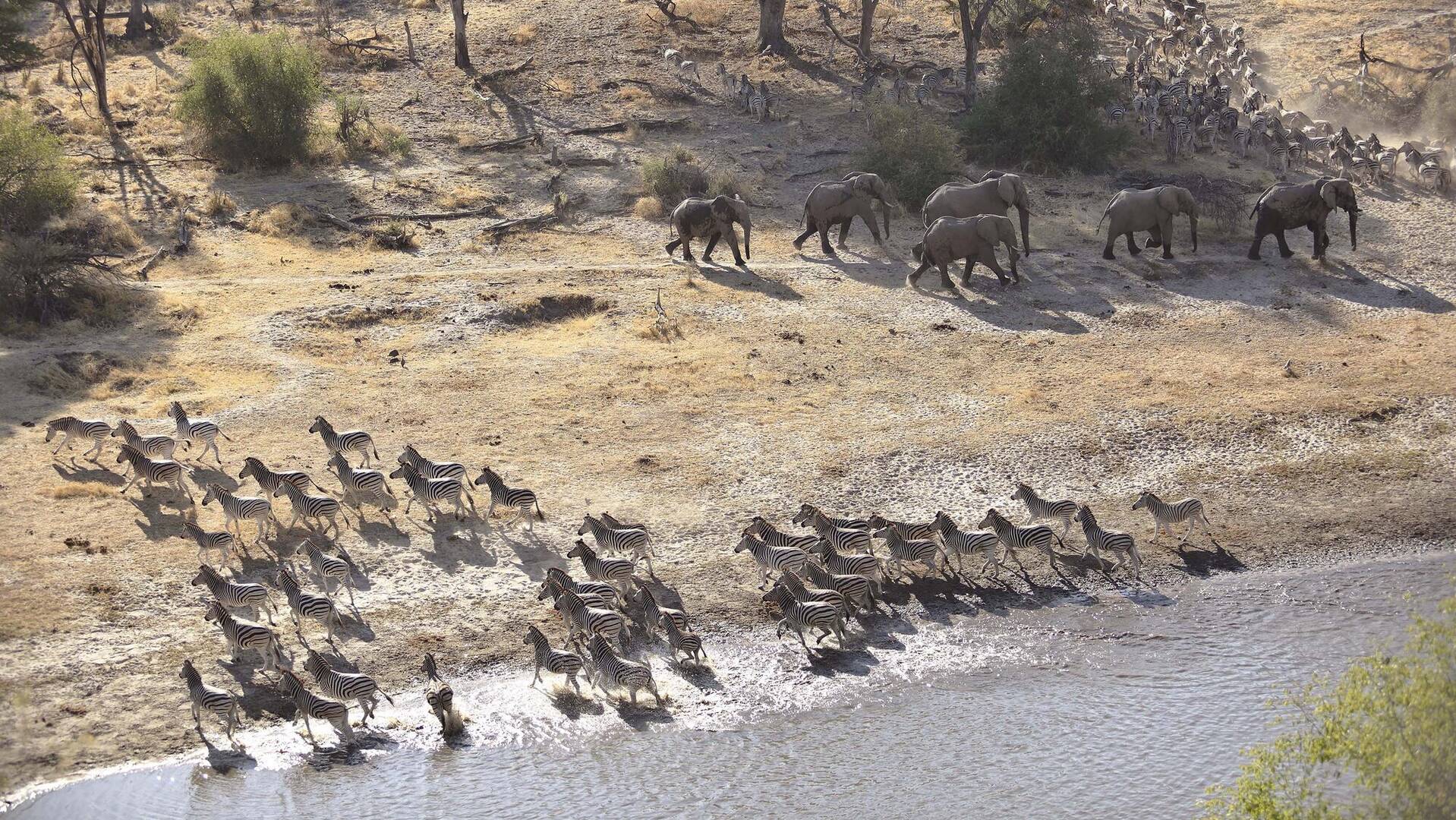 Migrations in Botswana