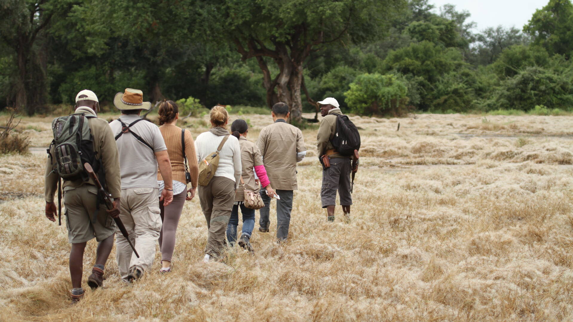 Zimbabwe safari guides