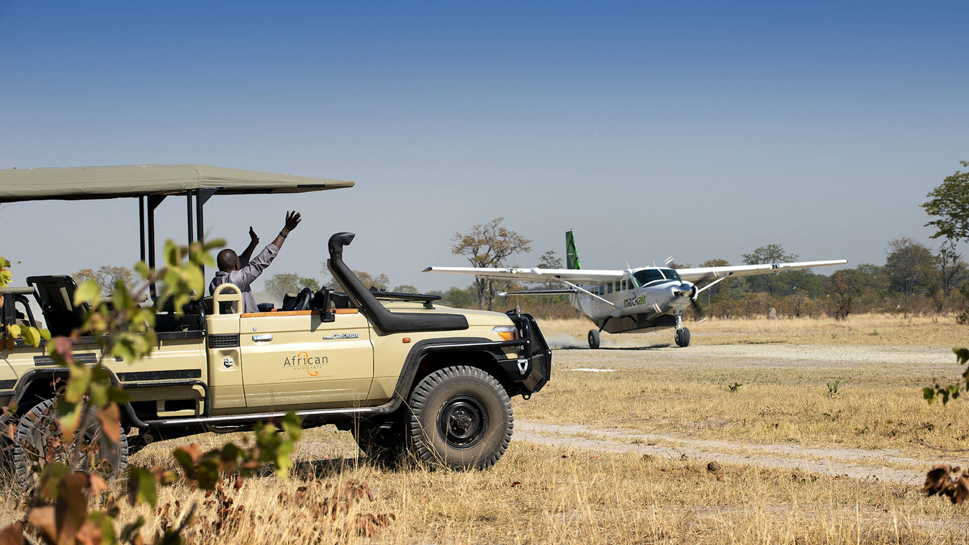 How to safari in Botswana