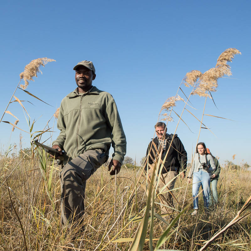 Botswana safari guides