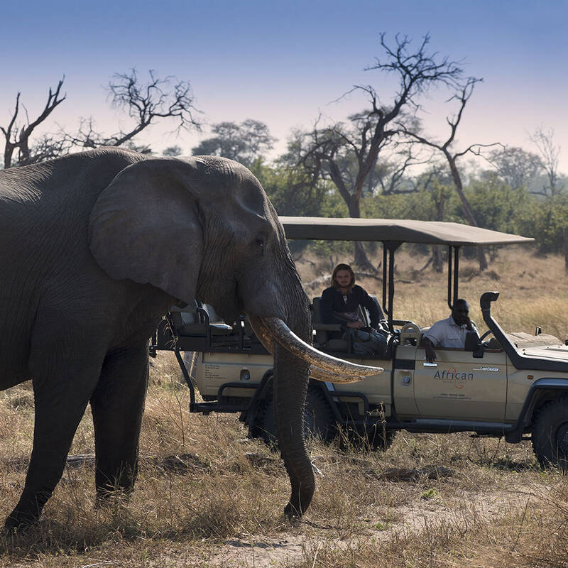 Types of Botswana safaris