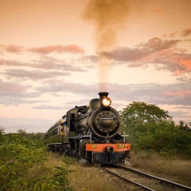 Royal Livingstone Express