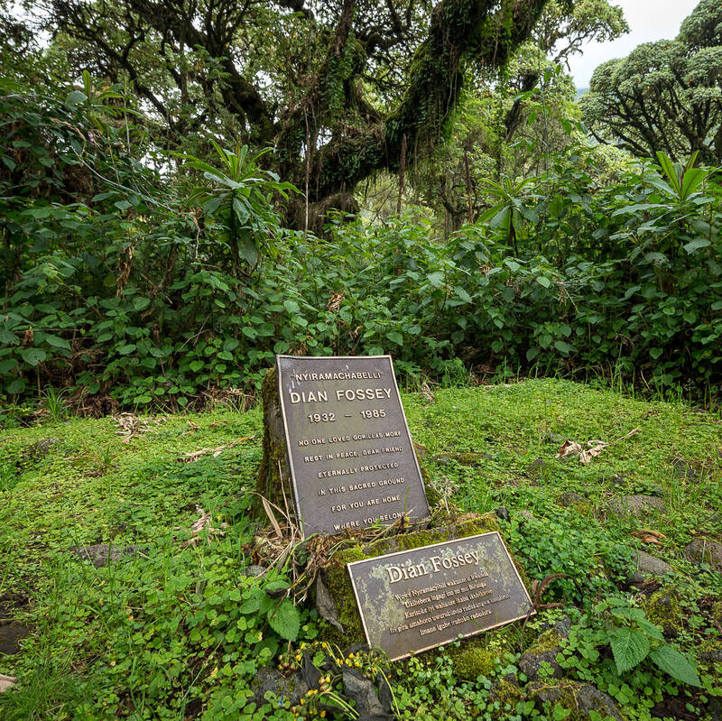 Trek to Dian Fossey’s Grave