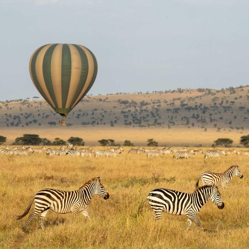 Balloon Safari over the Serengeti