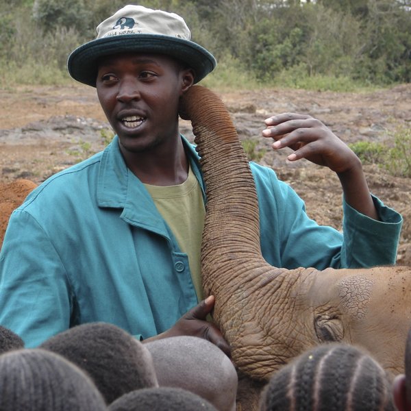 The DSWT Elephant Orphanage is a highlight for many people visiting the city.