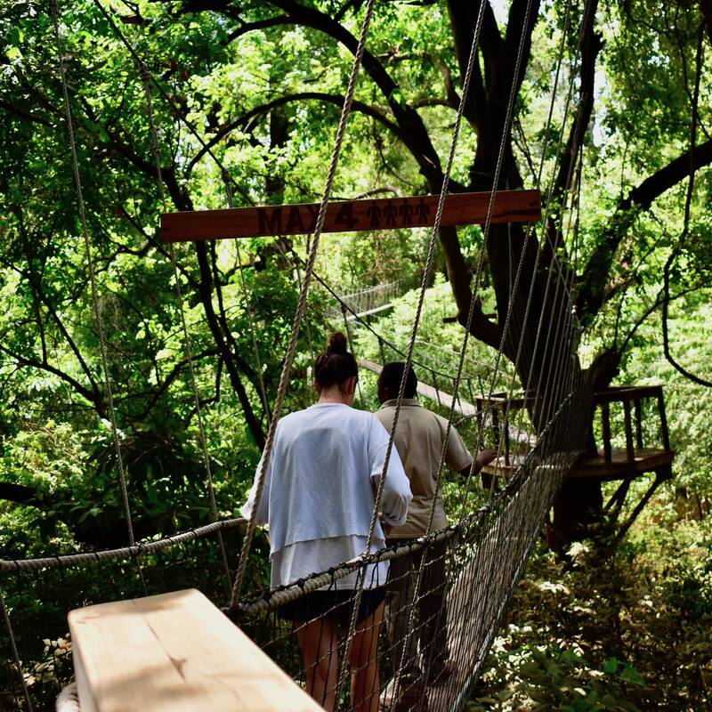 Lake Manyara Treetop Walkway