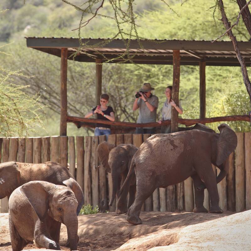 Reteti Elephant Orphanage visit