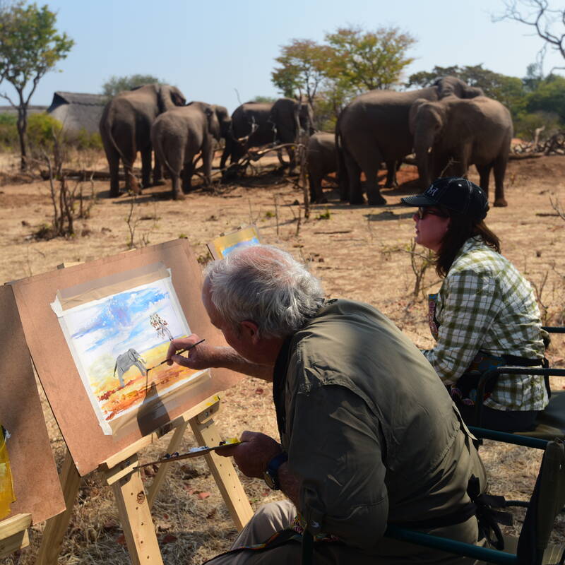 Elephant Art Experience