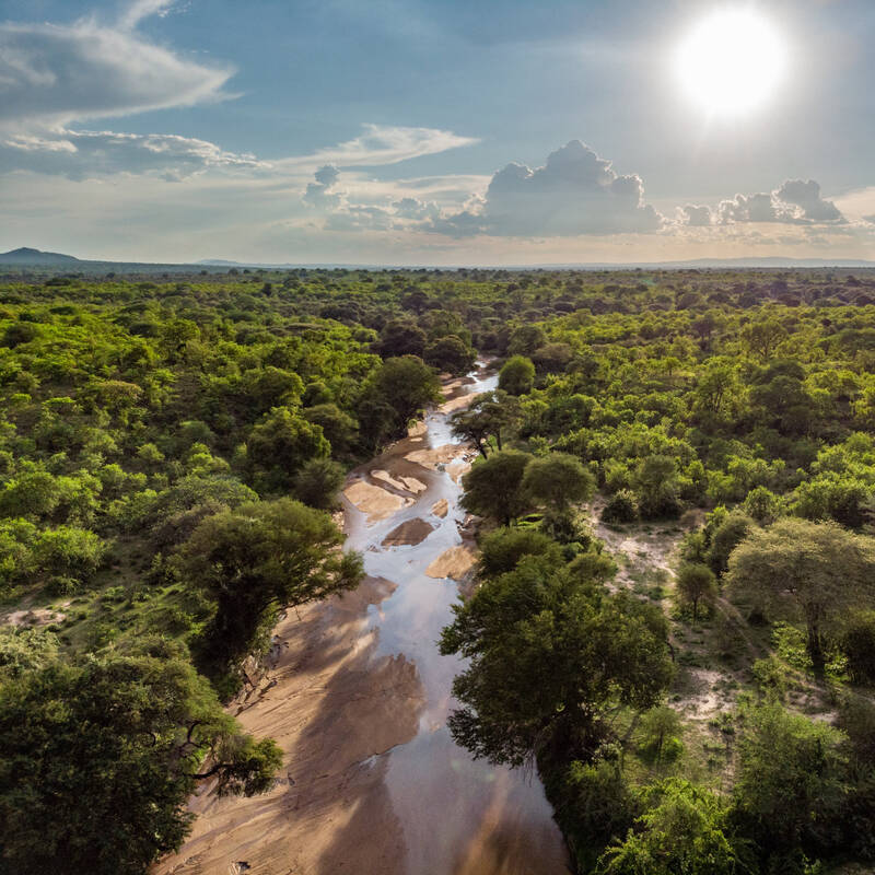 Balloon Safari over Ruaha 