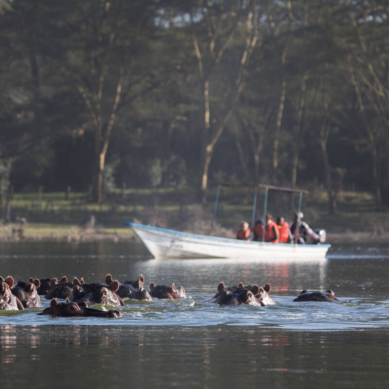 Lake Bogoria National Reserve