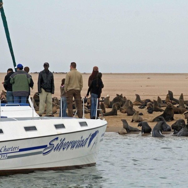 boat cruise swakopmund prices