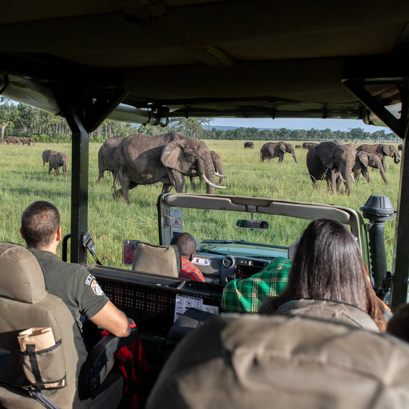 Safari in Maasai Mara National Reserve