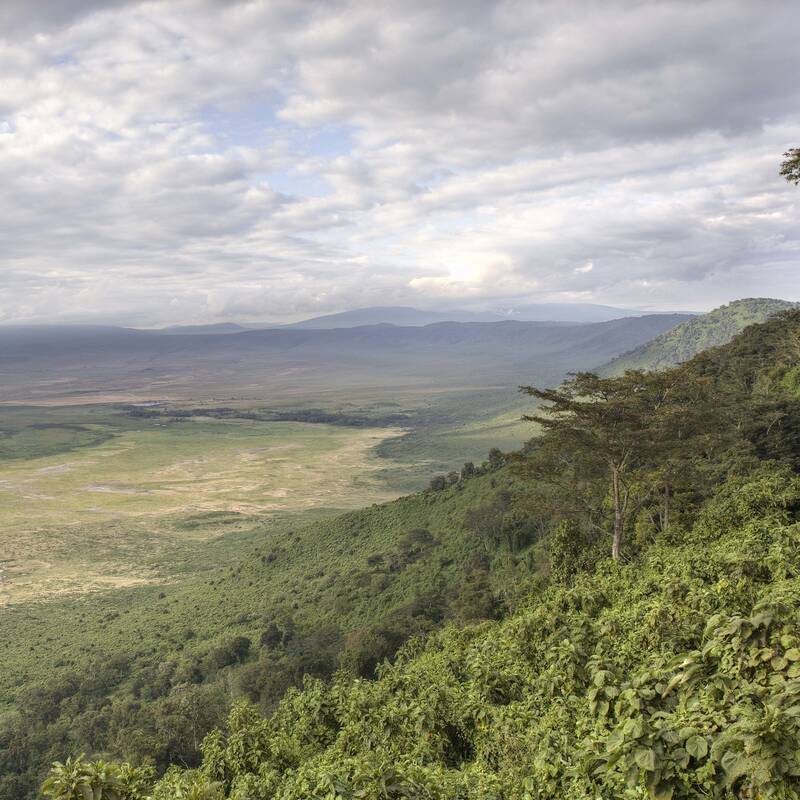 Crater Rim Walk