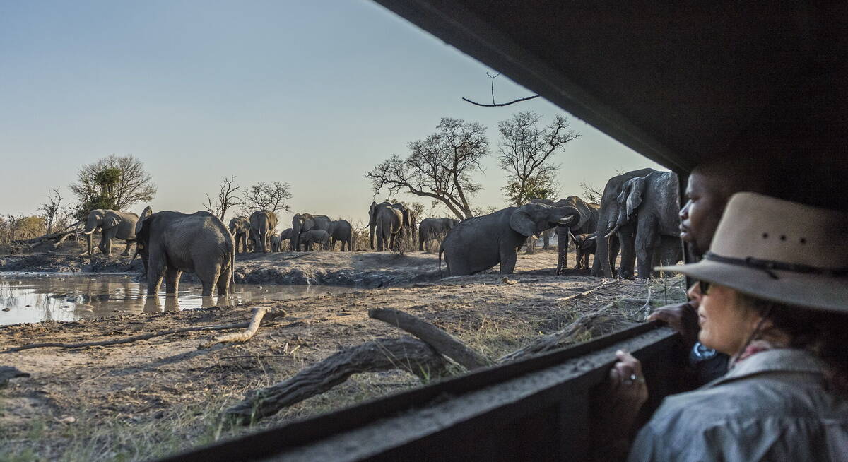 air safari maun