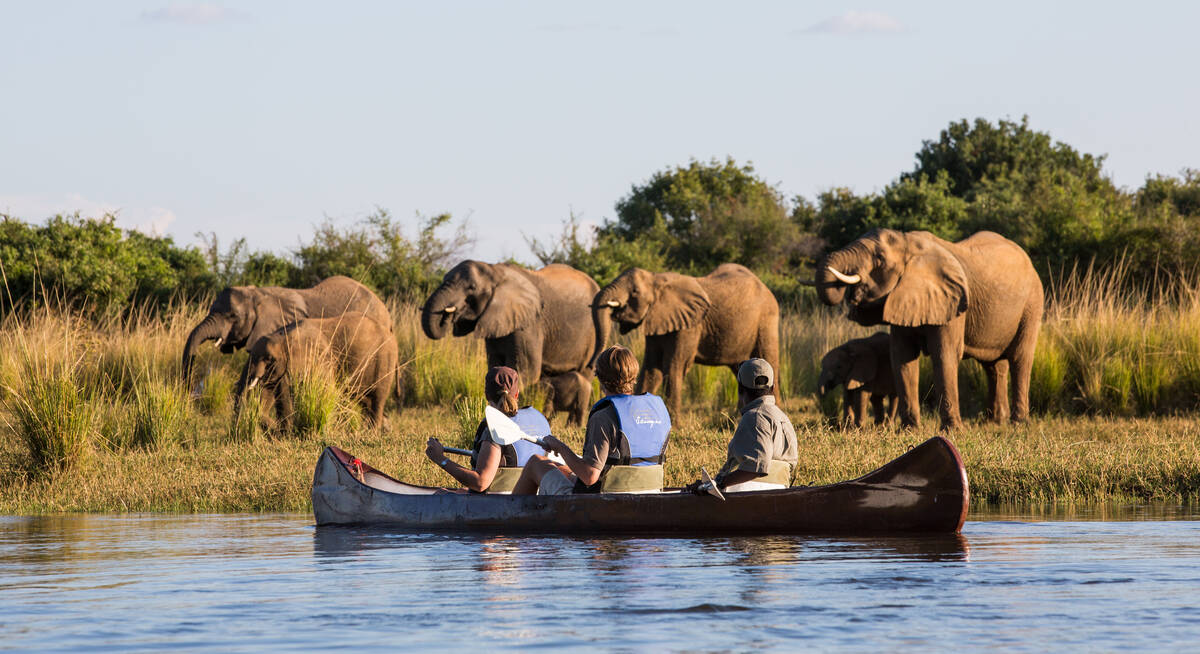chongwe safaris lower zambezi