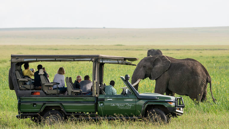 Steppe Eagle Fly-in Safari: flights & prices