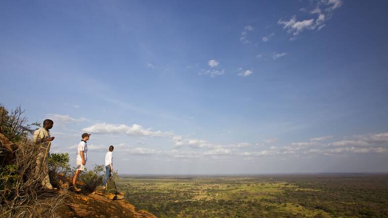 Peregrine Falcon Fly-In Safari: flights & prices