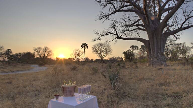 Kudu Safari: flights & prices