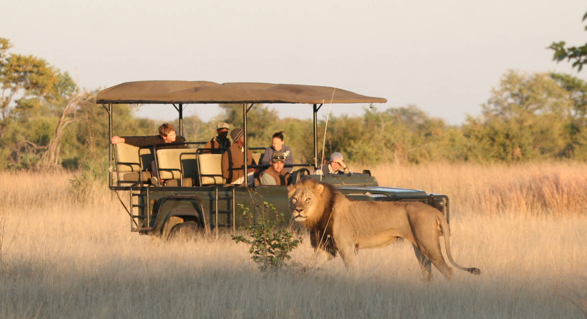 safari in hwange