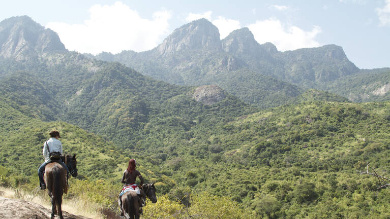 De Brazza Monkey Fly-in Safari: flights & prices
