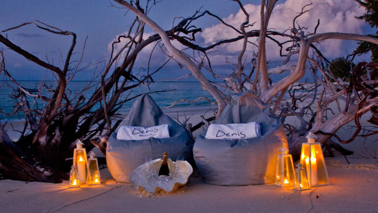 Damselfish island holiday: prices