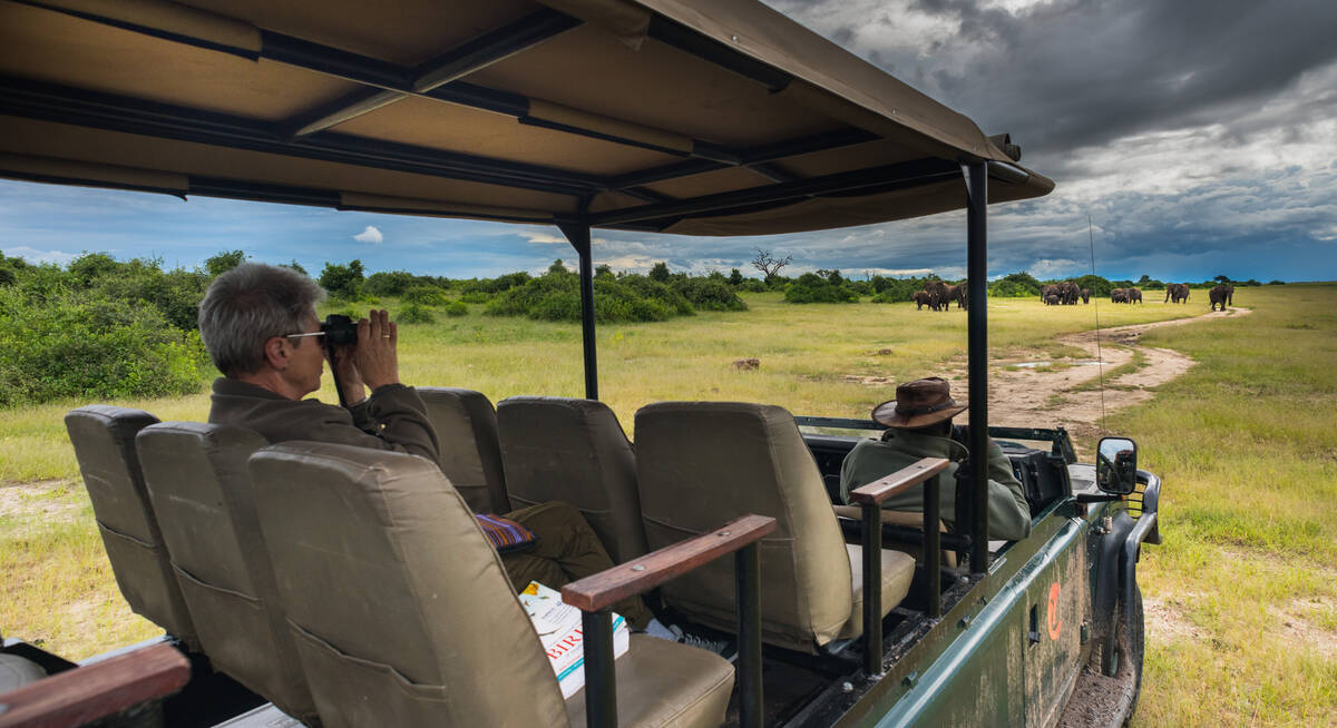 chobe safari botswana