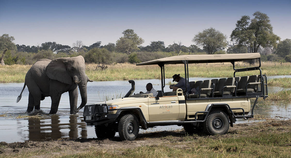 kudu safaris