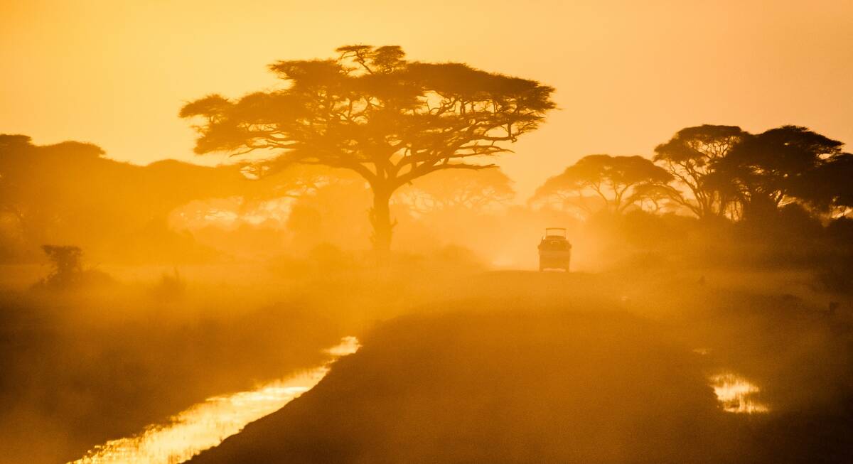 laikipia safari camp