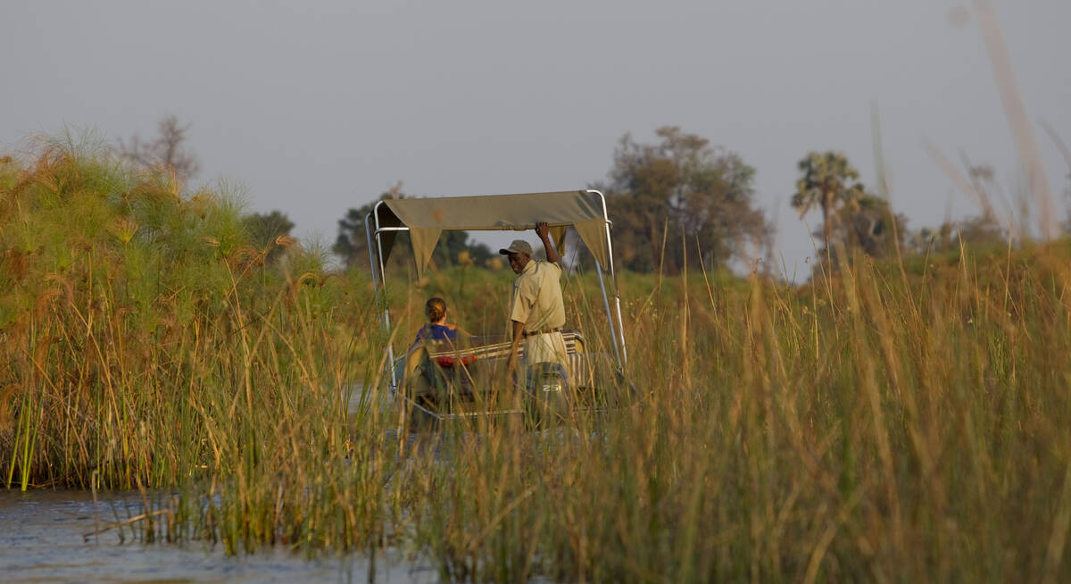 kudu safaris