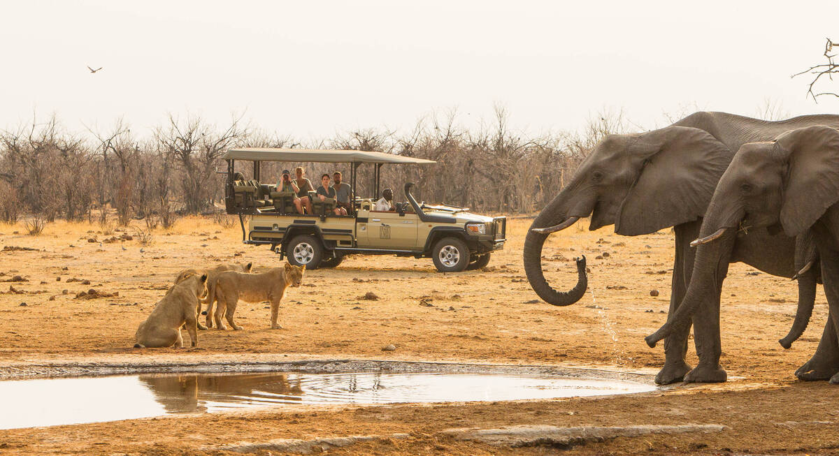 safari chobe national park botswana