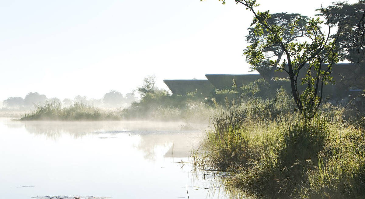 air safari maun