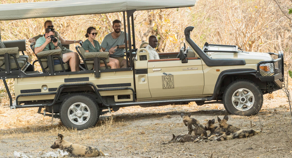 safari chobe national park botswana