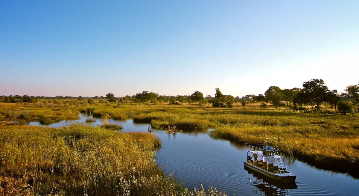 safari chobe national park botswana