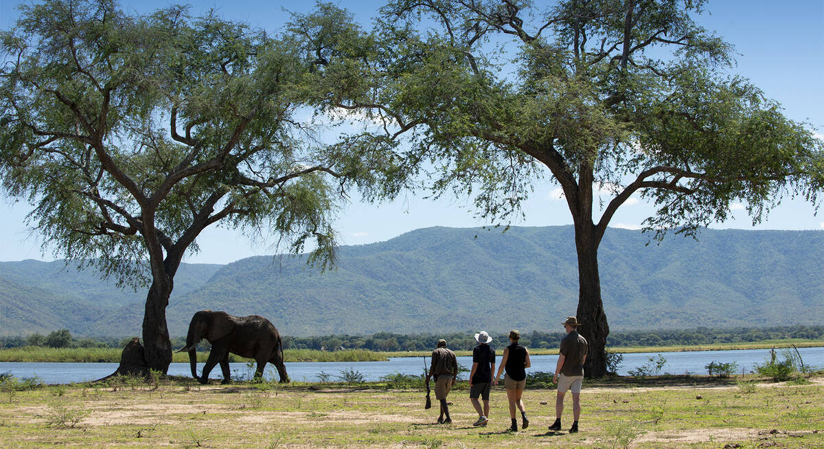 mana pools safari lodge zimbabwe