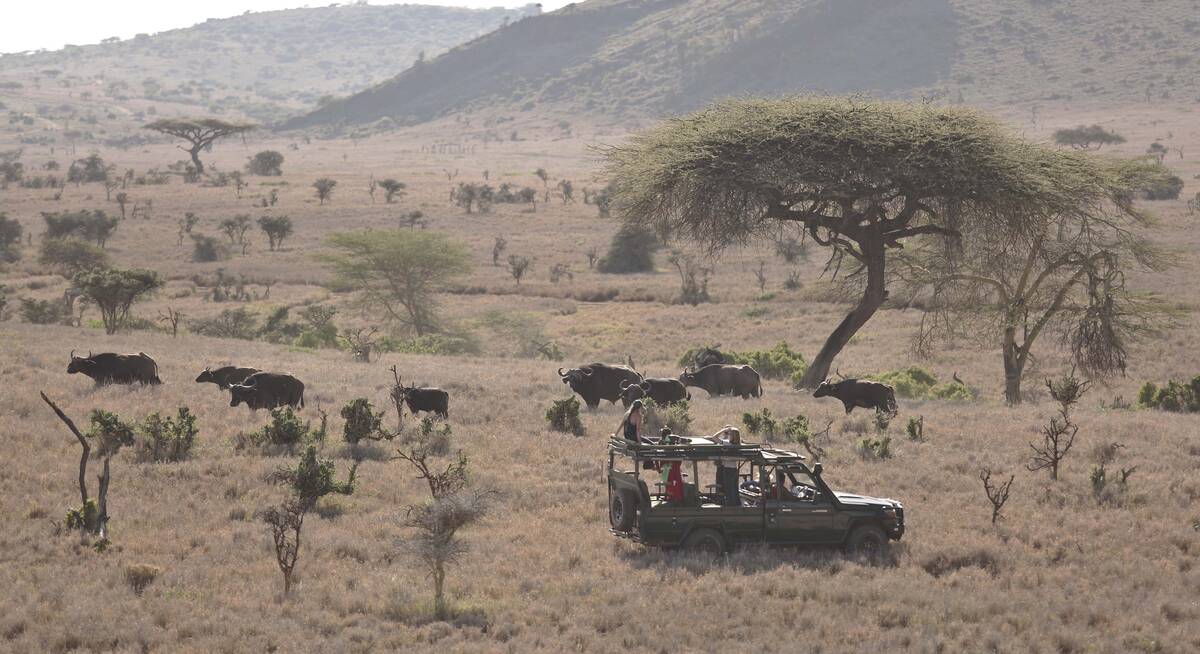 laikipia safari camp