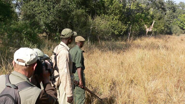 Nile Monitor Safari: flights & prices