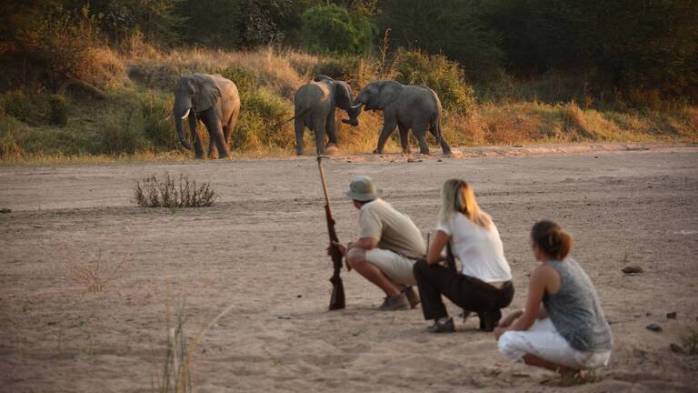 Topi Fly-in Safari: flights & prices