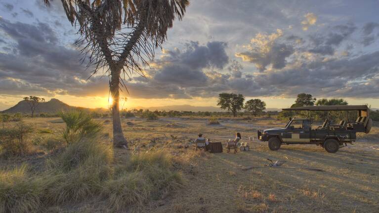Peregrine Falcon Fly-In Safari: prices