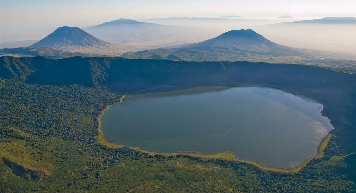 safari de ngorongoro