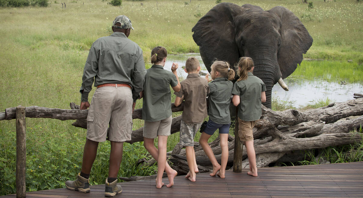 hwange national park safari lodges