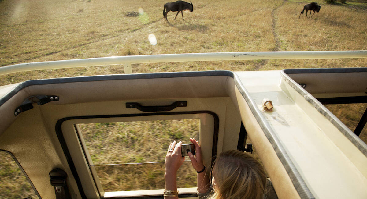 safari tanzanie tarangire